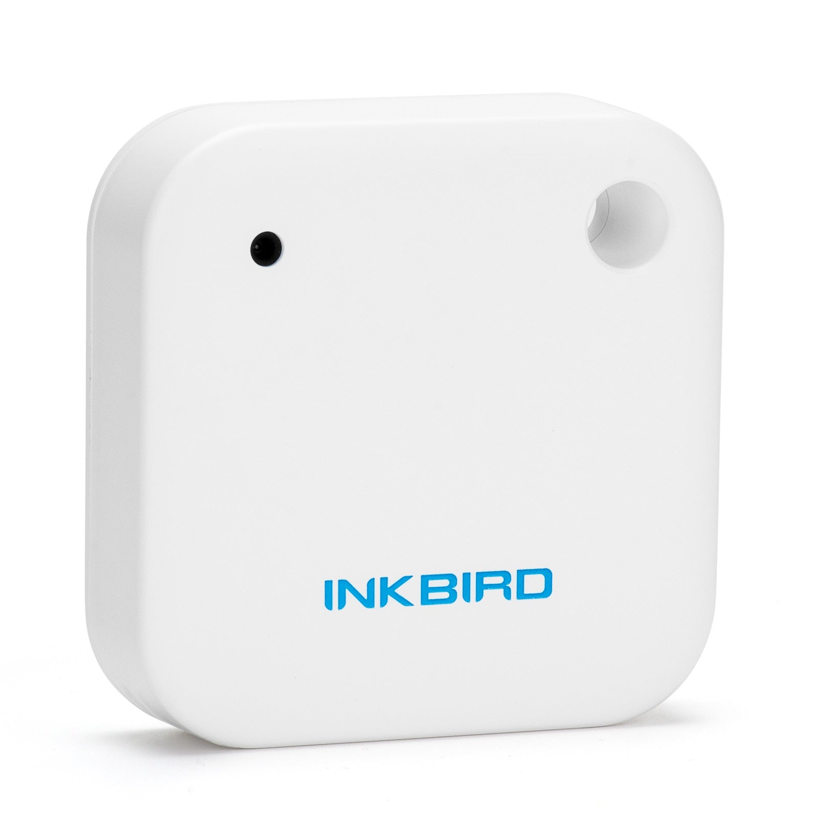 Smart Bluetooth Thermometer - EV Nouv
